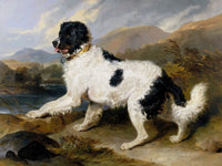 Lion and Newfoundland Dog Fine Art Print by Sir Edwin Henry Landseer