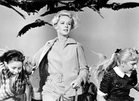 Tippi Hedren in The Birds 1963 photo print, available in multiple sizes.