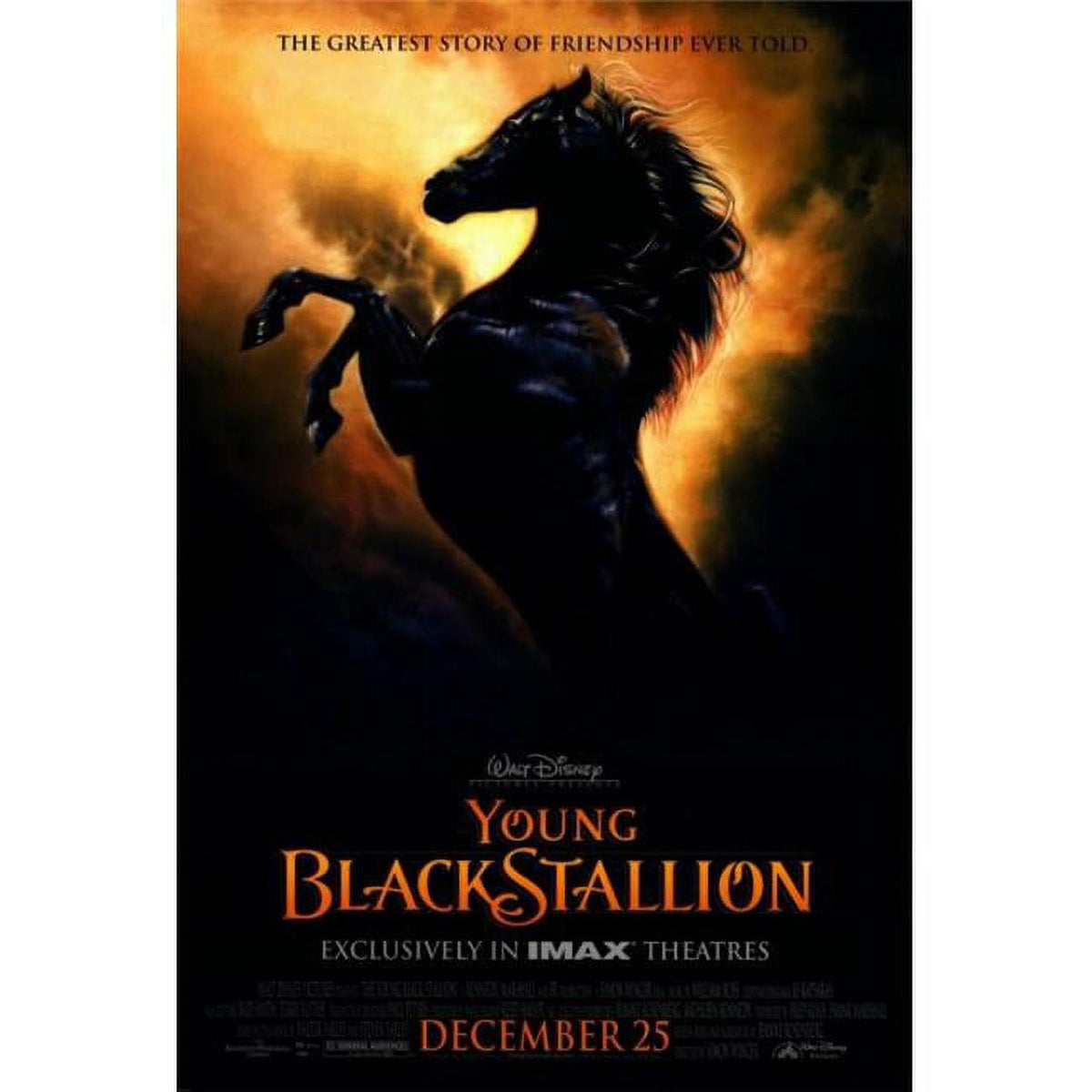 Young Black Stallion Movie Poster Print - 27x40 inches