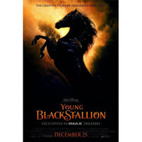 Young Black Stallion Movie Poster Print - 27x40 inches