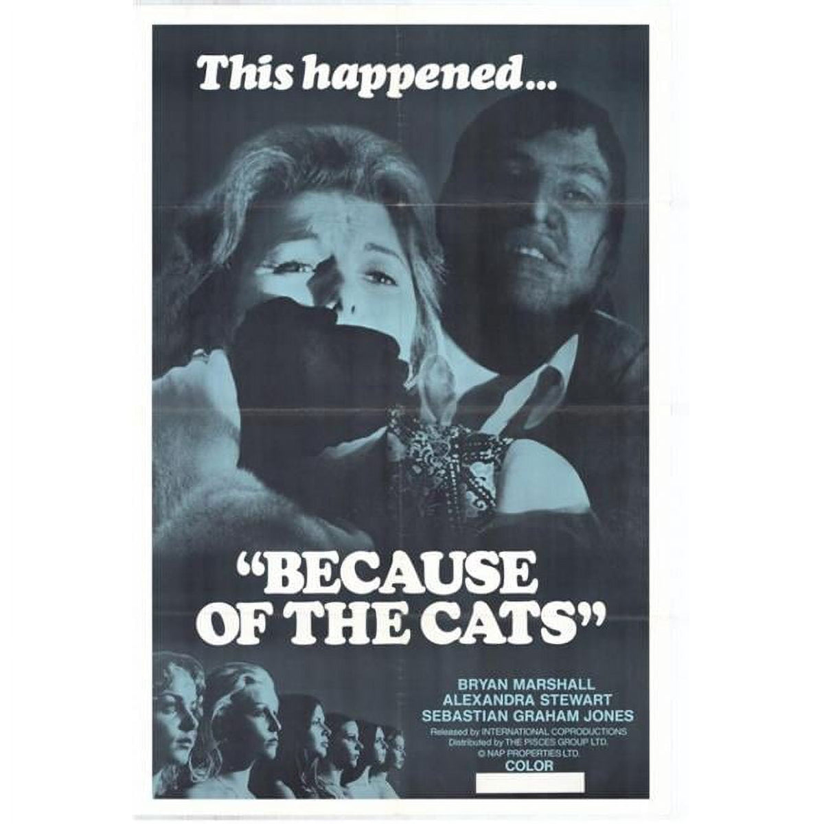 Because of the Cats movie poster print 27x40