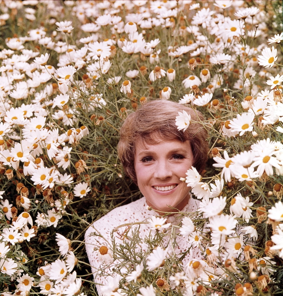 Julie Andrews 1972-1973 photo poster print