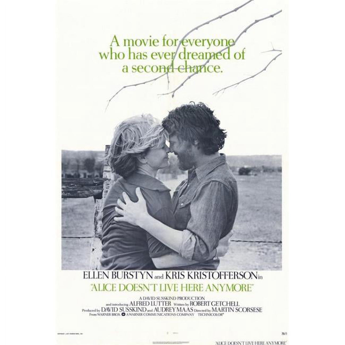 Alice Doesn't Live Here Anymore movie poster print in 27x40 size.